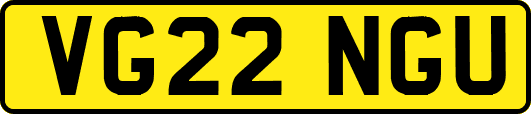 VG22NGU