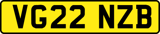 VG22NZB
