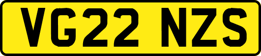 VG22NZS