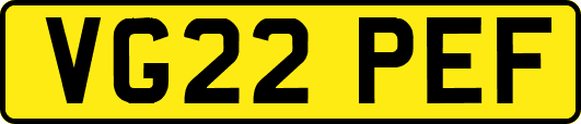 VG22PEF