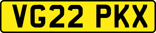 VG22PKX