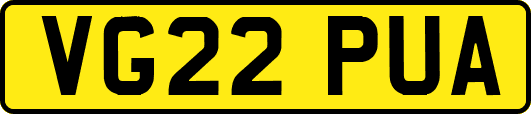 VG22PUA