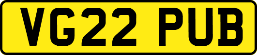 VG22PUB