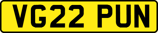VG22PUN