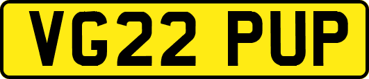 VG22PUP