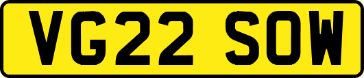 VG22SOW
