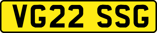 VG22SSG