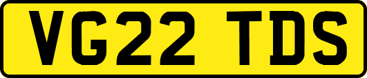 VG22TDS