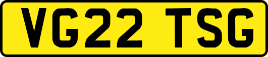 VG22TSG