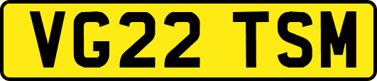 VG22TSM