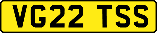 VG22TSS