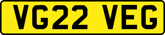 VG22VEG