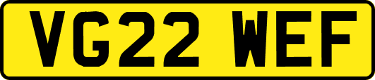 VG22WEF