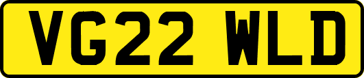 VG22WLD