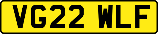 VG22WLF