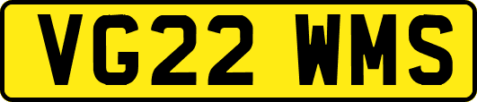 VG22WMS