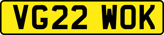 VG22WOK