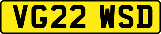 VG22WSD