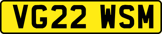 VG22WSM