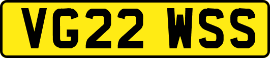 VG22WSS
