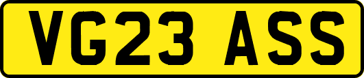 VG23ASS