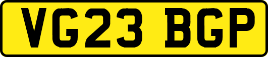VG23BGP