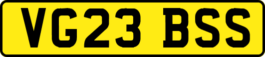 VG23BSS