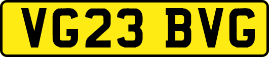 VG23BVG