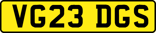 VG23DGS