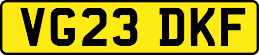 VG23DKF