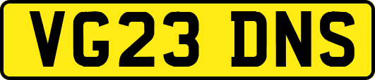 VG23DNS