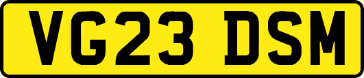 VG23DSM