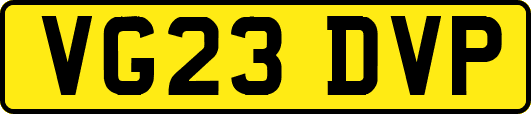 VG23DVP