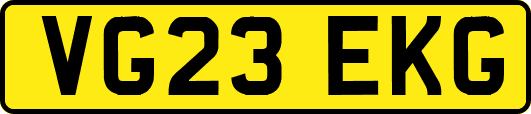 VG23EKG