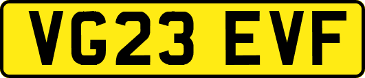 VG23EVF