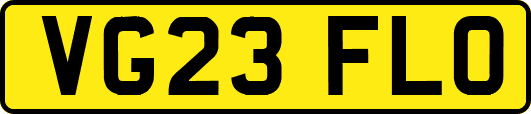 VG23FLO