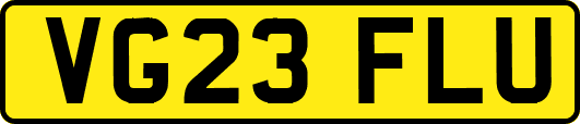 VG23FLU