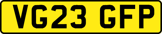 VG23GFP