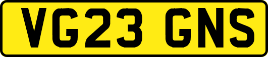 VG23GNS