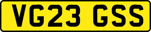 VG23GSS