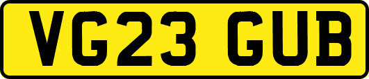 VG23GUB