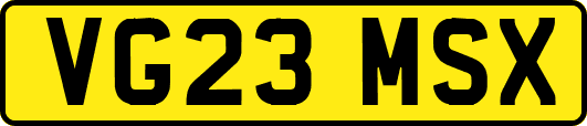 VG23MSX