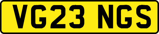 VG23NGS