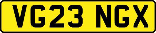 VG23NGX