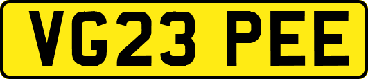VG23PEE