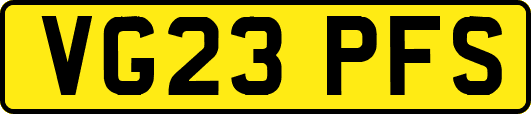 VG23PFS