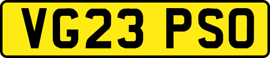 VG23PSO