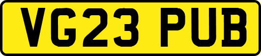 VG23PUB