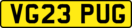 VG23PUG