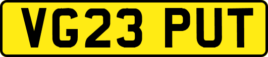 VG23PUT